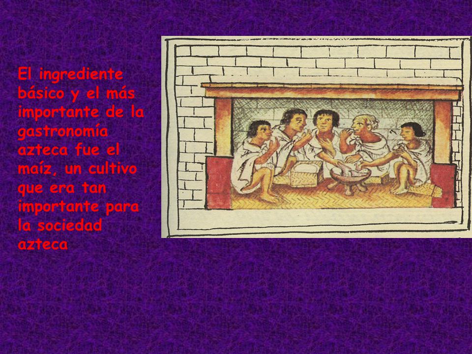 El ingrediente básico y el más importante de la gastronomía azteca fue el maíz, un cultivo que era tan importante para la sociedad azteca
