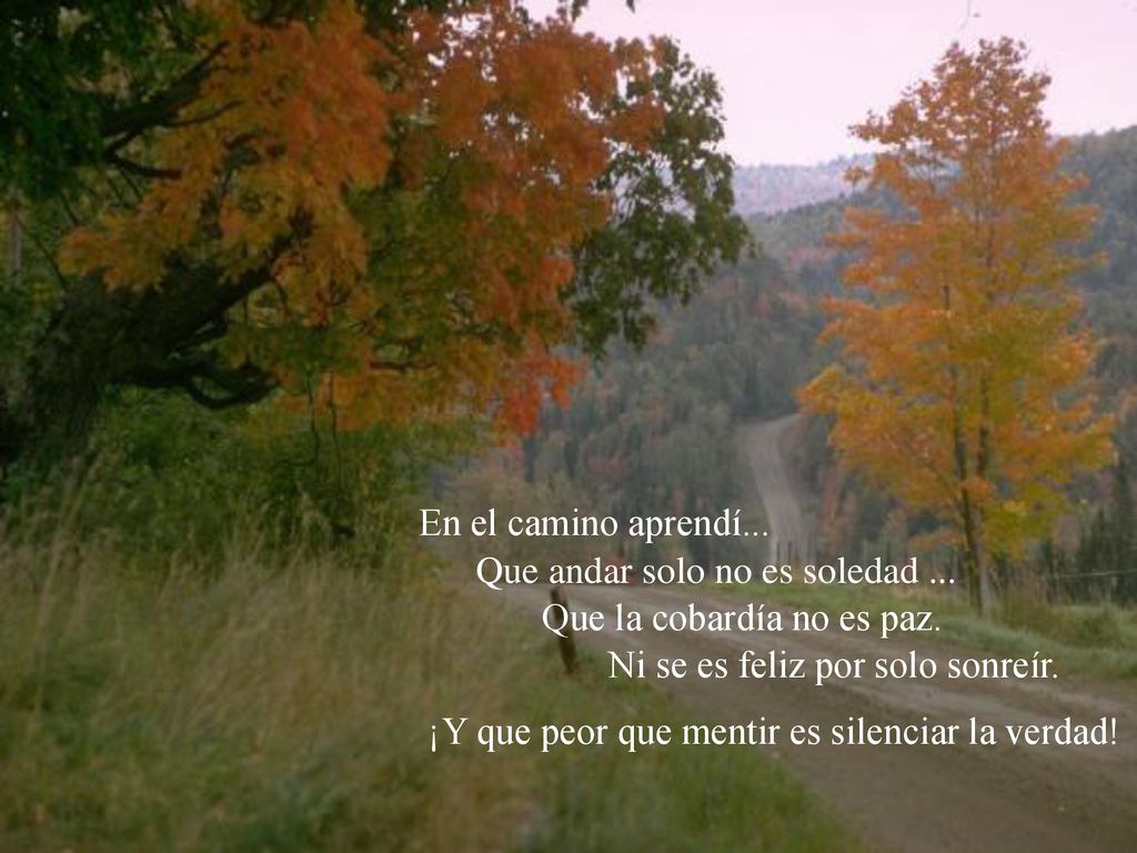 Que andar solo no es soledad ... Que la cobardía no es paz.