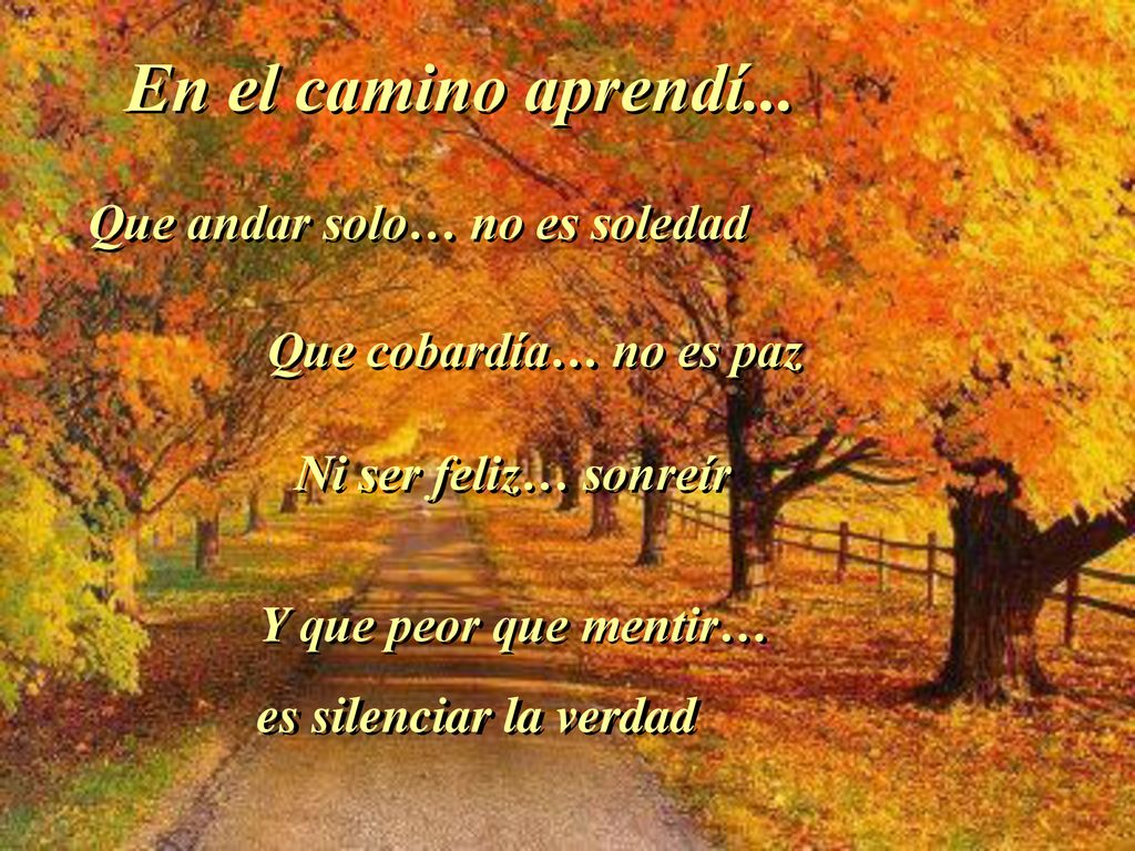 En el camino aprendí... Que andar solo… no es soledad