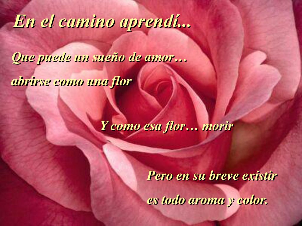 En el camino aprendí... Que puede un sueño de amor…