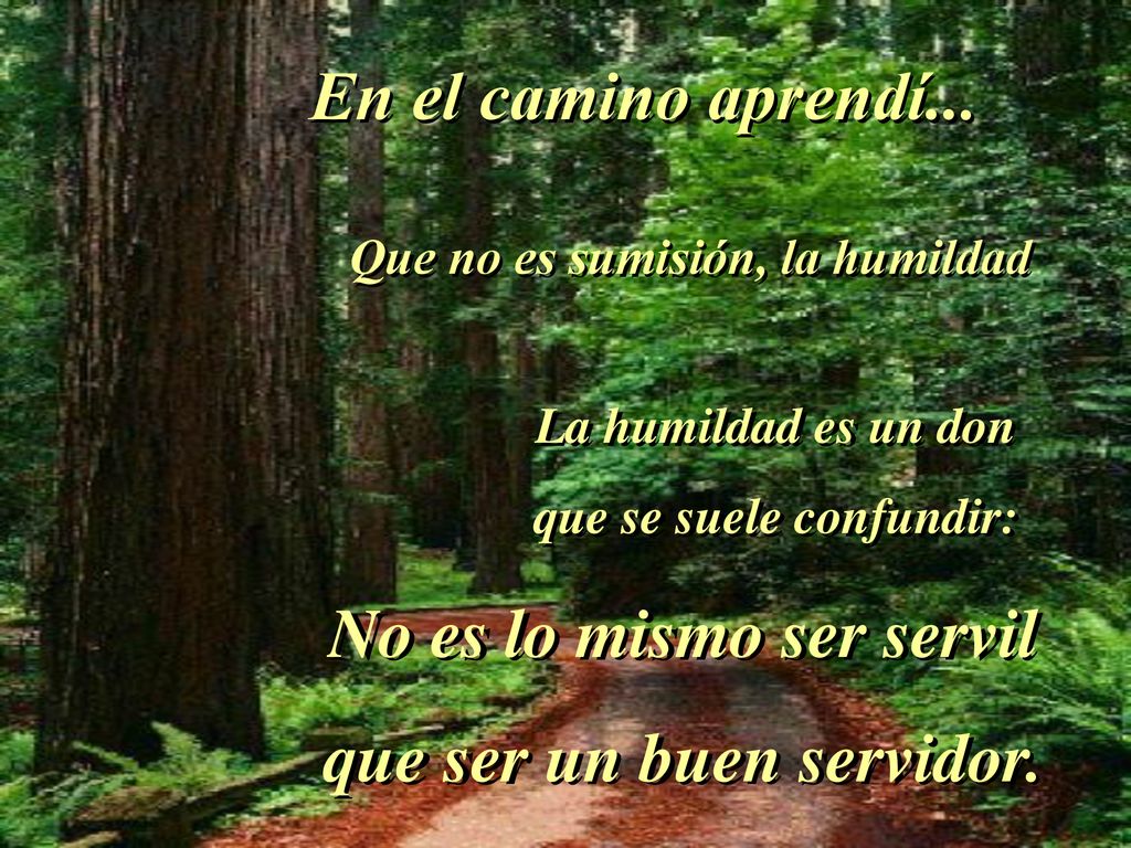 No es lo mismo ser servil que ser un buen servidor.