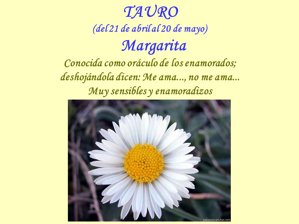 TAURO Conocida como oráculo de los enamorados;