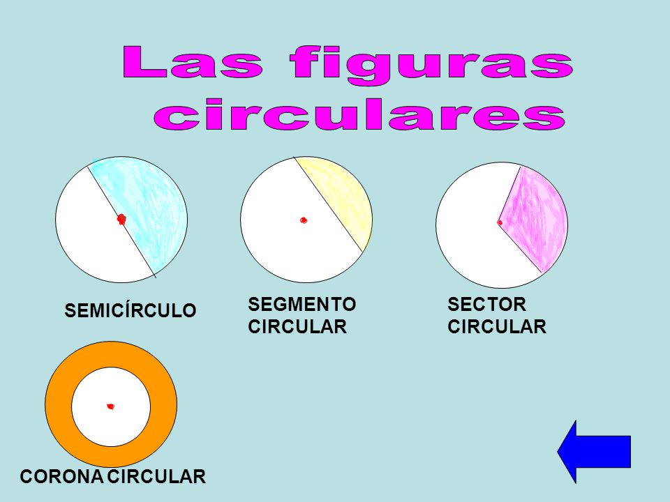 Las figuras circulares SEGMENTO CIRCULAR SECTOR CIRCULAR SEMICÍRCULO