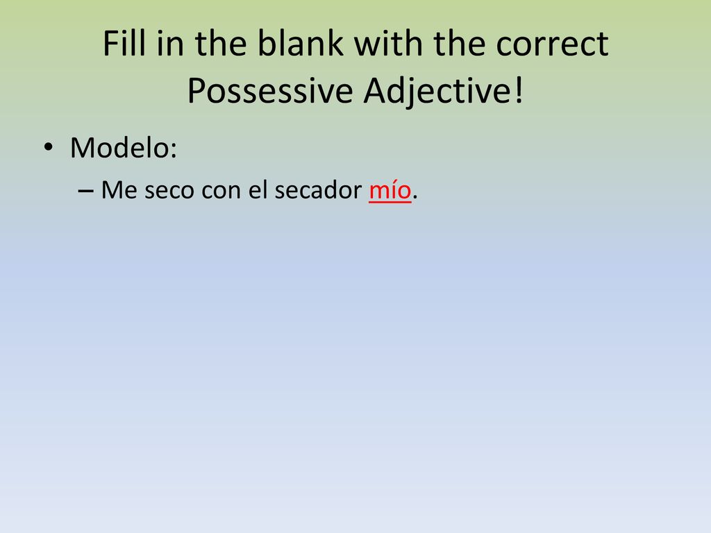 Fill in the blank with the correct Possessive Adjective!