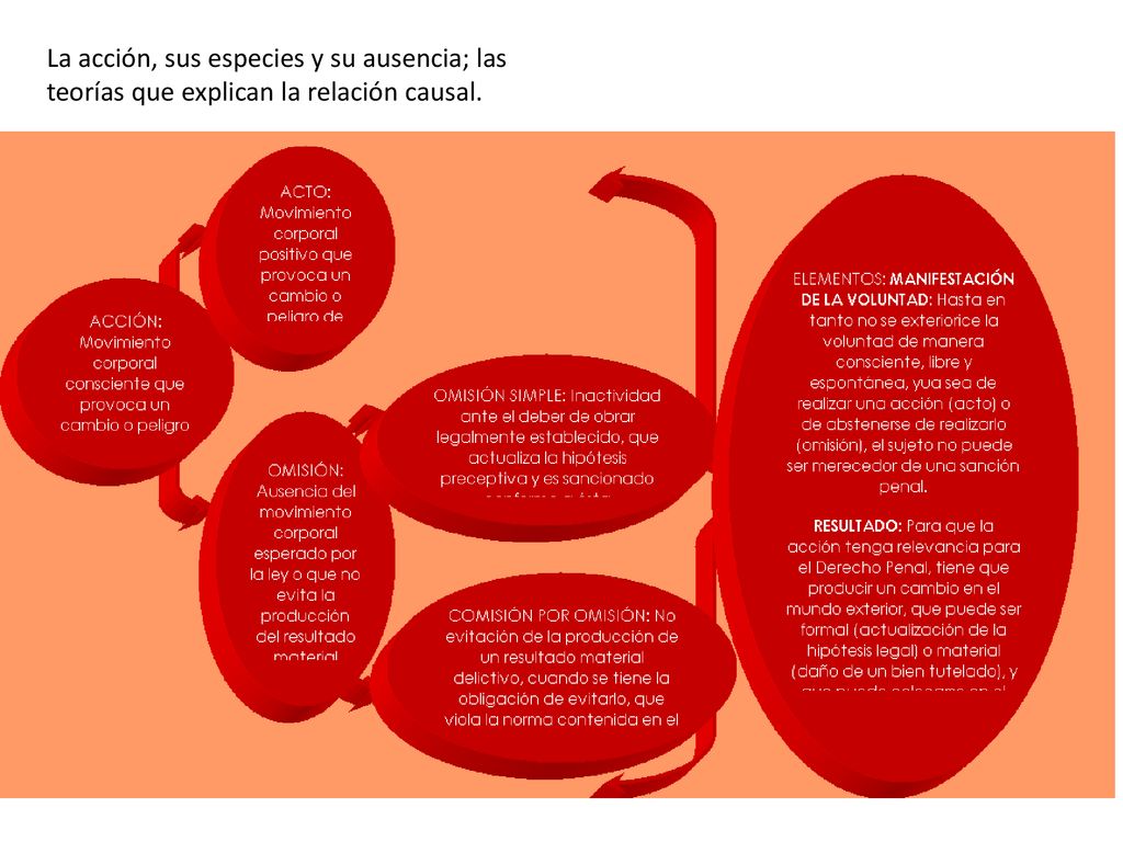 La acción, sus especies y su ausencia; las teorías que explican la relación causal.