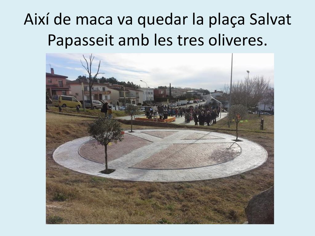 Així de maca va quedar la plaça Salvat Papasseit amb les tres oliveres.