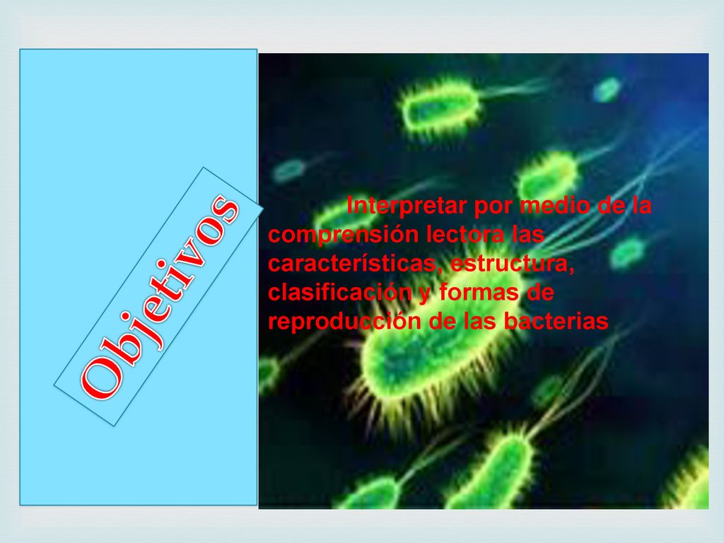 Interpretar por medio de la comprensión lectora las características, estructura, clasificación y formas de reproducción de las bacterias