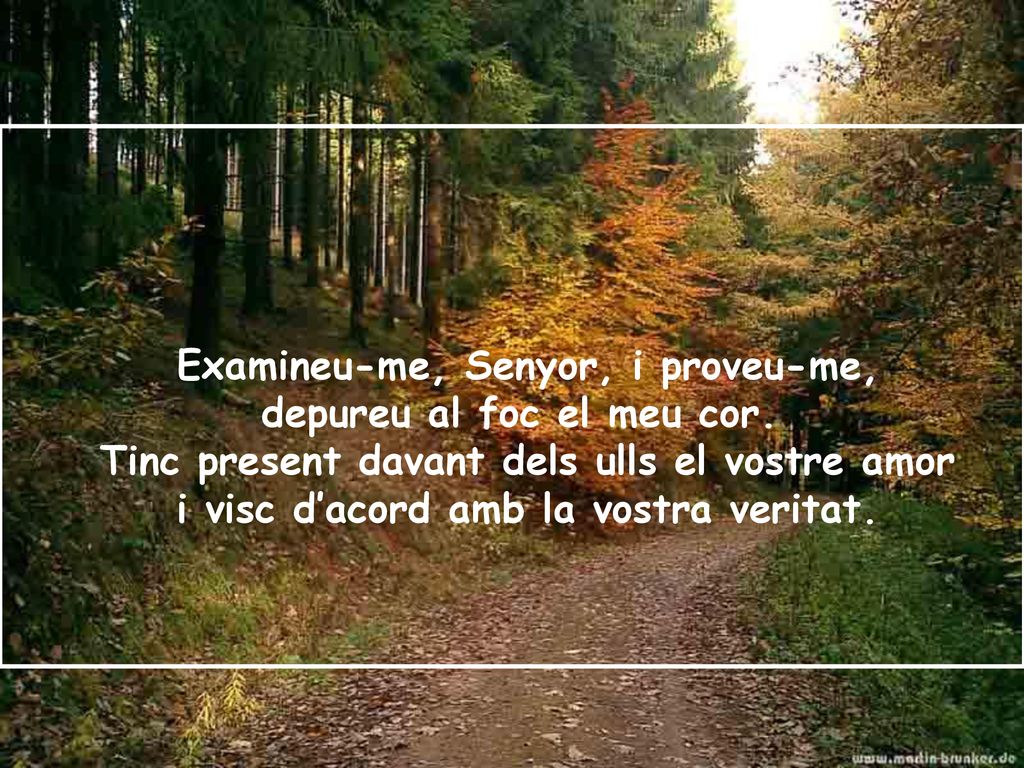 Examineu-me, Senyor, i proveu-me, depureu al foc el meu cor.