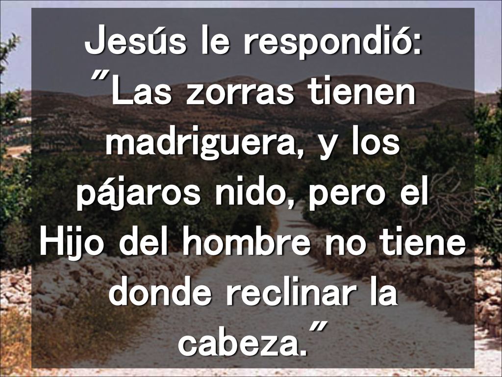 Jesús le respondió: Las zorras tienen madriguera, y los pájaros nido, pero el Hijo del hombre no tiene donde reclinar la cabeza.