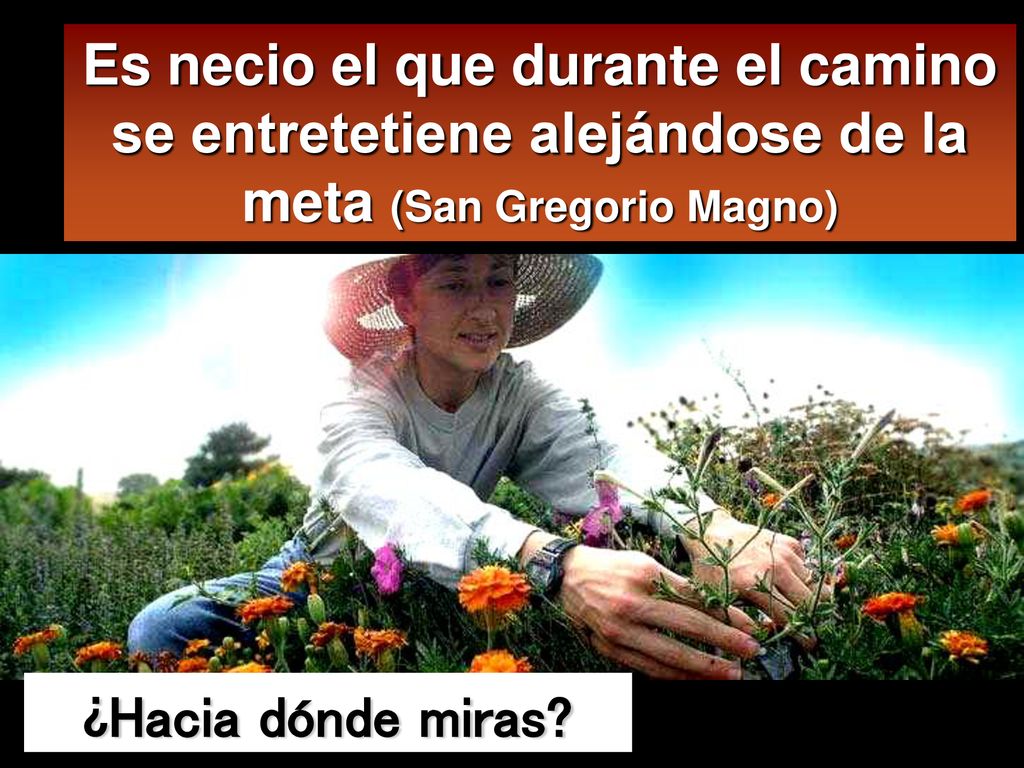 Es necio el que durante el camino se entretetiene alejándose de la meta (San Gregorio Magno)