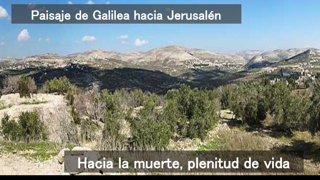 Paisaje de Galilea hacia Jerusalén Hacia la muerte, plenitud de vida