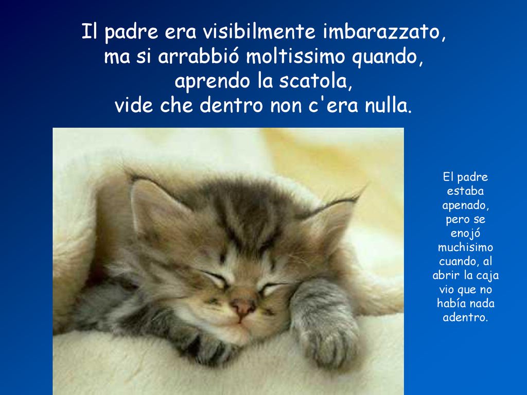 Il padre era visibilmente imbarazzato, ma si arrabbió moltissimo quando, aprendo la scatola, vide che dentro non c era nulla.
