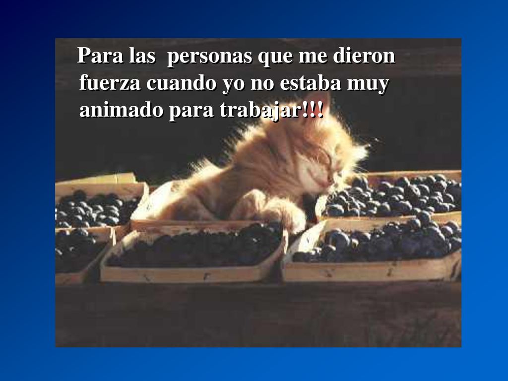 Para las personas que me dieron fuerza cuando yo no estaba muy animado para trabajar!!!