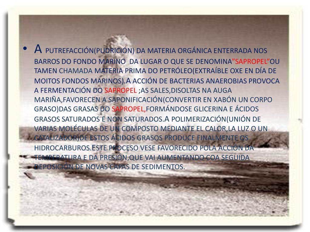 A PUTREFACCIÓN(PUDRICIÓN) DA MATERIA ORGÁNICA ENTERRADA NOS BARROS DO FONDO MARINO DA LUGAR O QUE SE DENOMINA SAPROPEL OU TAMEN CHAMADA MATERIA PRIMA DO PETRÓLEO(EXTRAÍBLE OXE EN DÍA DE MOITOS FONDOS MARINOS).A ACCIÓN DE BACTERIAS ANAEROBIAS PROVOCA A FERMENTACIÓN DO SAPROPEL ;AS SALES,DISOLTAS NA AUGA MARIÑA,FAVORECEN A SAPONIFICACIÓN(CONVERTIR EN XABÓN UN CORPO GRASO)DAS GRASAS DO SAPROPEL,FORMÁNDOSE GLICERINA E ÁCIDOS GRASOS SATURADOS E NON SATURADOS.A POLIMERIZACIÓN(UNIÓN DE VARIAS MOLÉCULAS DE UN COMPOSTO MEDIANTE EL CALOR,LA LUZ O UN CATALIZADOR)DE ESTOS ÁCIDOS GRASOS PRODUCE FINALMENTE OS HIDROCARBUROS.ESTE PROCESO VESE FAVORECIDO POLA ACCIÓN DA TEMPERATURA E DA PRESIÓN,QUE VAI AUMENTANDO COA SEGUIDA DEPOSICIÓN DE NOVAS CAPAS DE SEDIMENTOS.