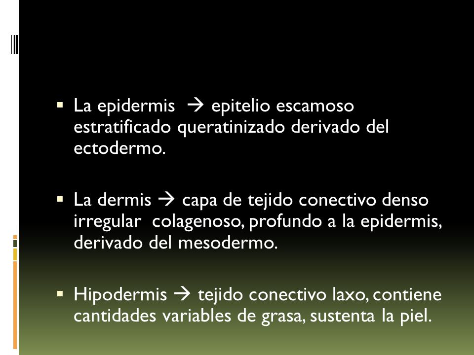 La epidermis  epitelio escamoso estratificado queratinizado derivado del ectodermo.