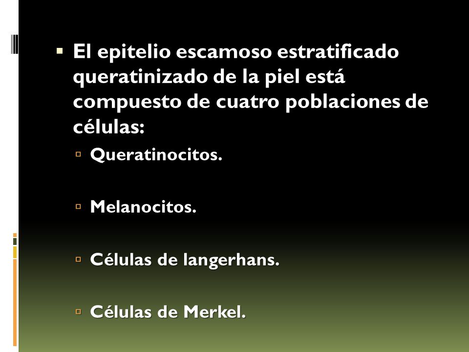 El epitelio escamoso estratificado queratinizado de la piel está compuesto de cuatro poblaciones de células: