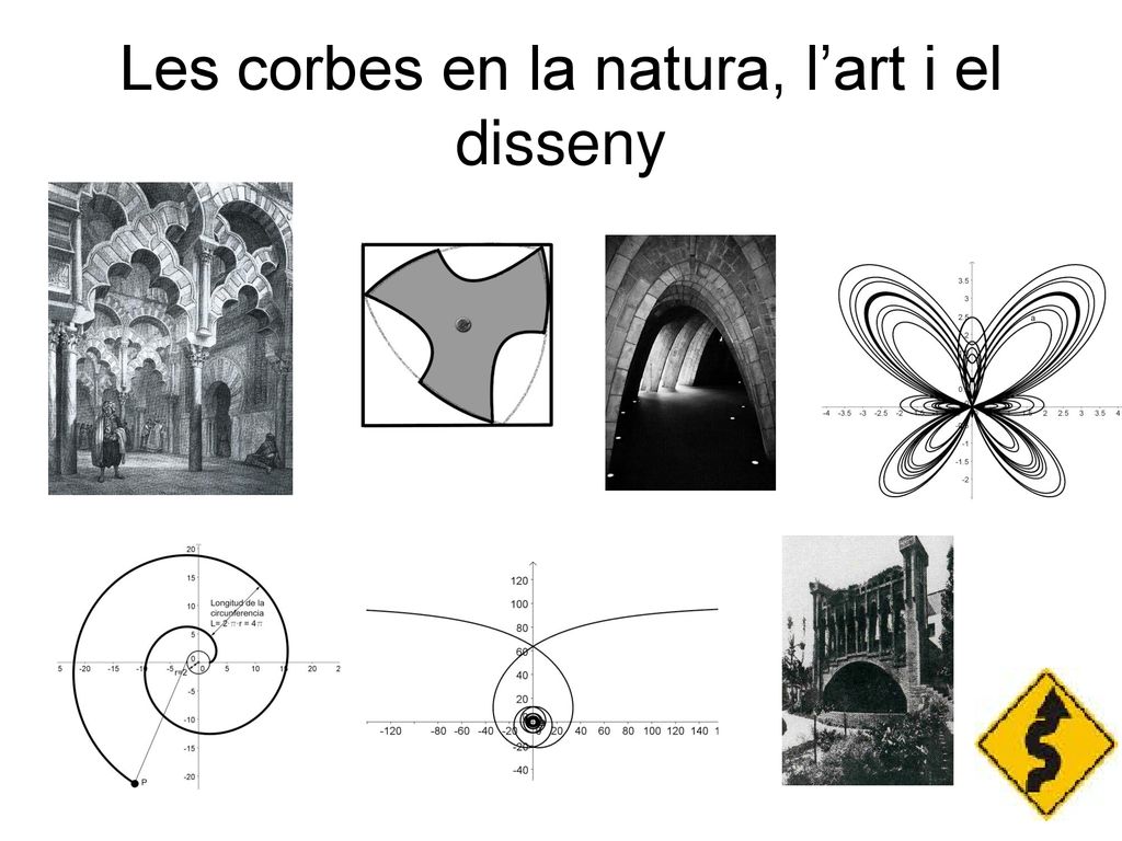 Les corbes en la natura, l’art i el disseny