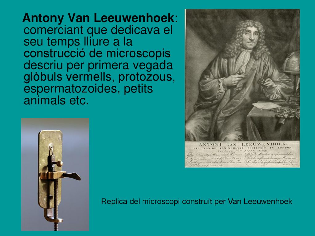 Antony Van Leeuwenhoek: comerciant que dedicava el seu temps lliure a la construcció de microscopis descriu per primera vegada glòbuls vermells, protozous, espermatozoides, petits animals etc.