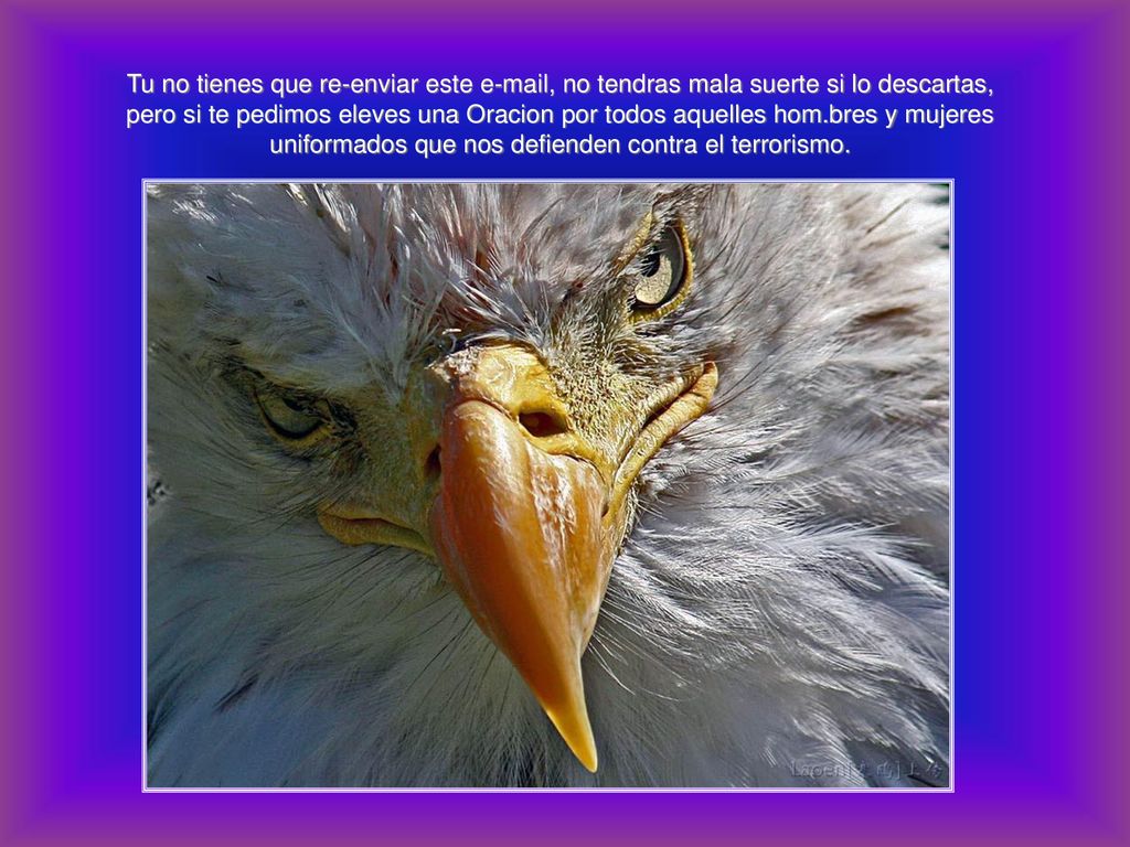Tu no tienes que re-enviar este  , no tendras mala suerte si lo descartas, pero si te pedimos eleves una Oracion por todos aquelles hom.bres y mujeres uniformados que nos defienden contra el terrorismo.