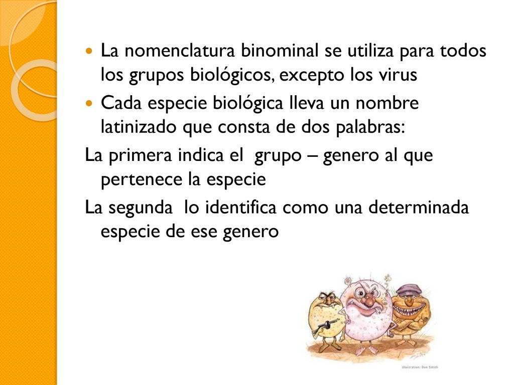 La nomenclatura binominal se utiliza para todos los grupos biológicos, excepto los virus
