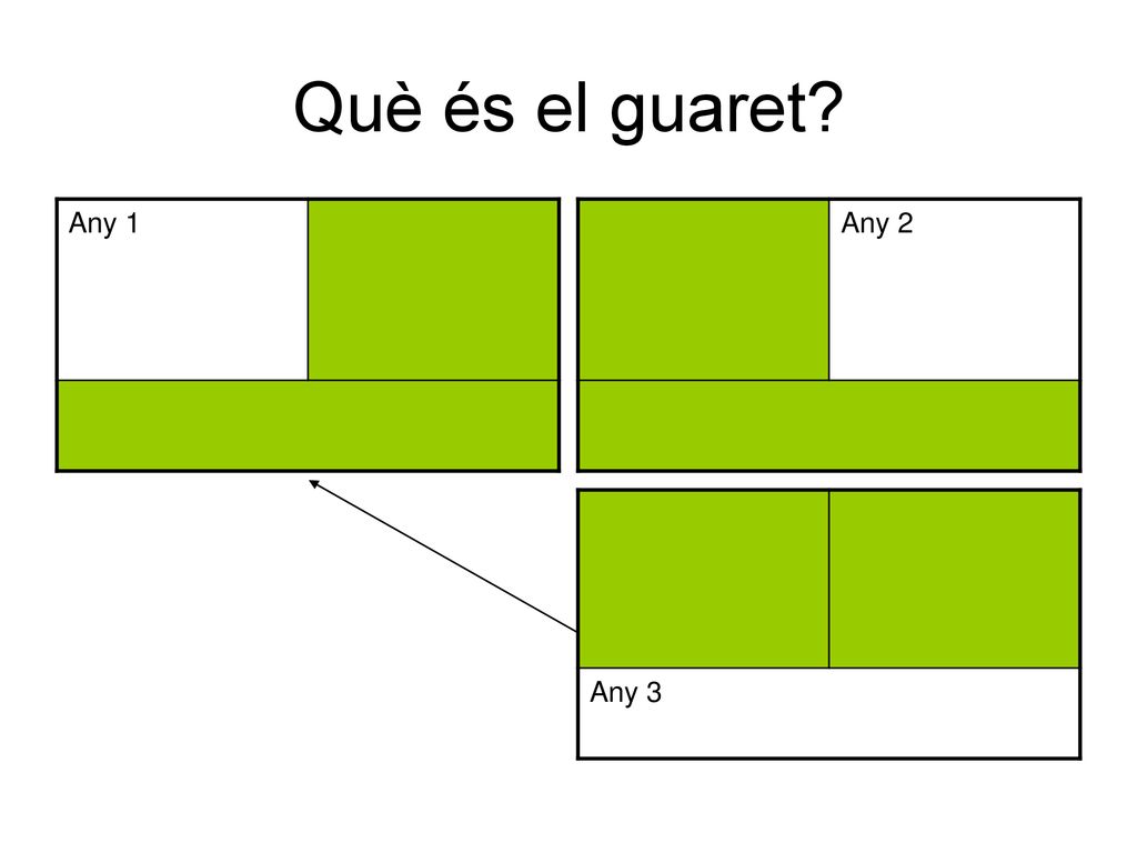 Què és el guaret Any 1 Any 2 Any 3