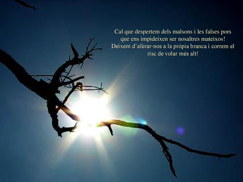 Cal que despertem dels malsons i les falses pors que ens impideixen ser nosaltres mateixos!