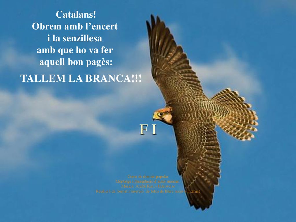 TALLEM LA BRANCA!!! F I Catalans! Obrem amb l’encert i la senzillesa