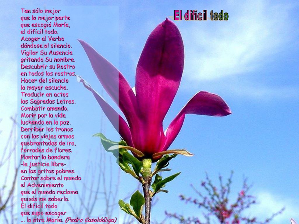 Tan sólo mejor que la mejor parte que escogió María, el difícil todo.