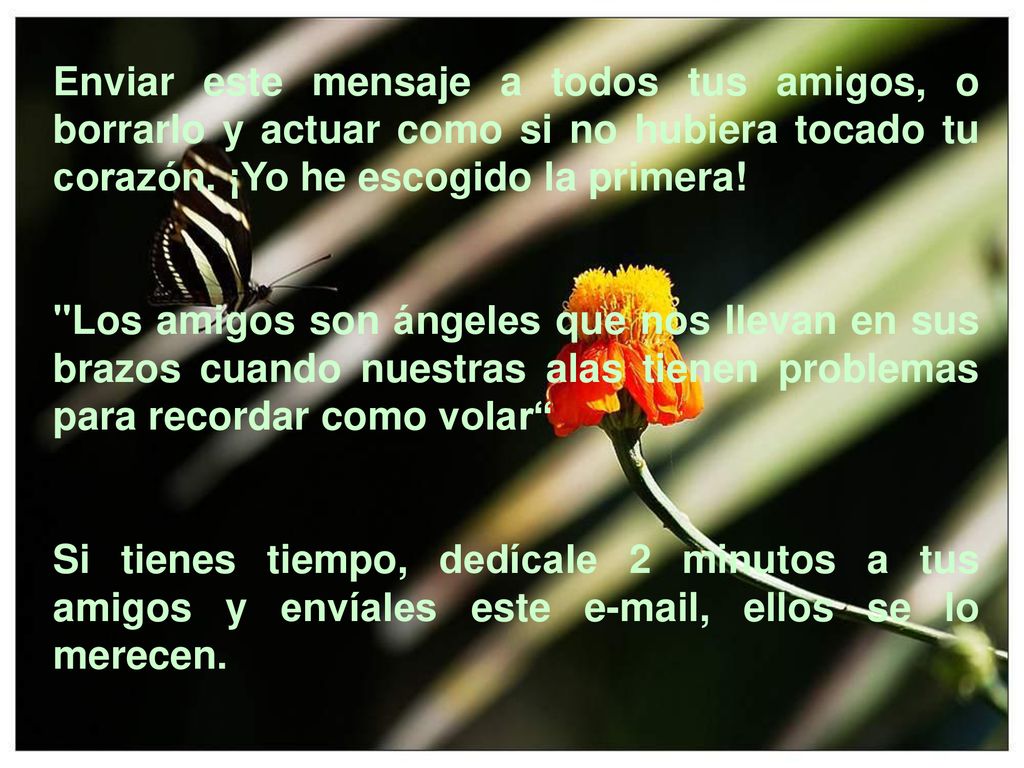 Enviar este mensaje a todos tus amigos, o borrarlo y actuar como si no hubiera tocado tu corazón. ¡Yo he escogido la primera!