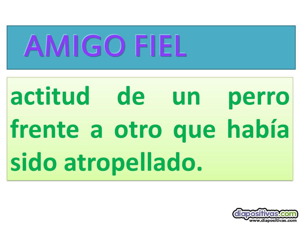 AMIGO FIEL actitud de un perro frente a otro que había sido atropellado.