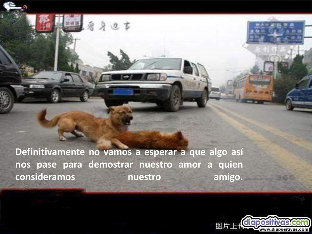 Definitivamente no vamos a esperar a que algo así­ nos pase para demostrar nuestro amor a quien consideramos nuestro amigo.