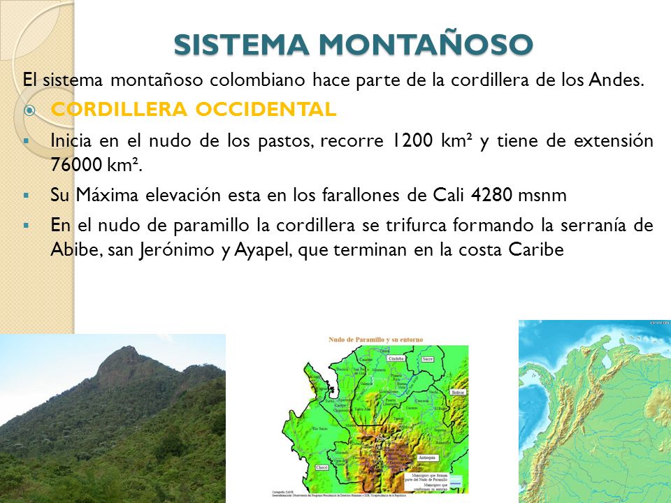 SISTEMA MONTAÑOSO El sistema montañoso colombiano hace parte de la cordillera de los Andes. CORDILLERA OCCIDENTAL.