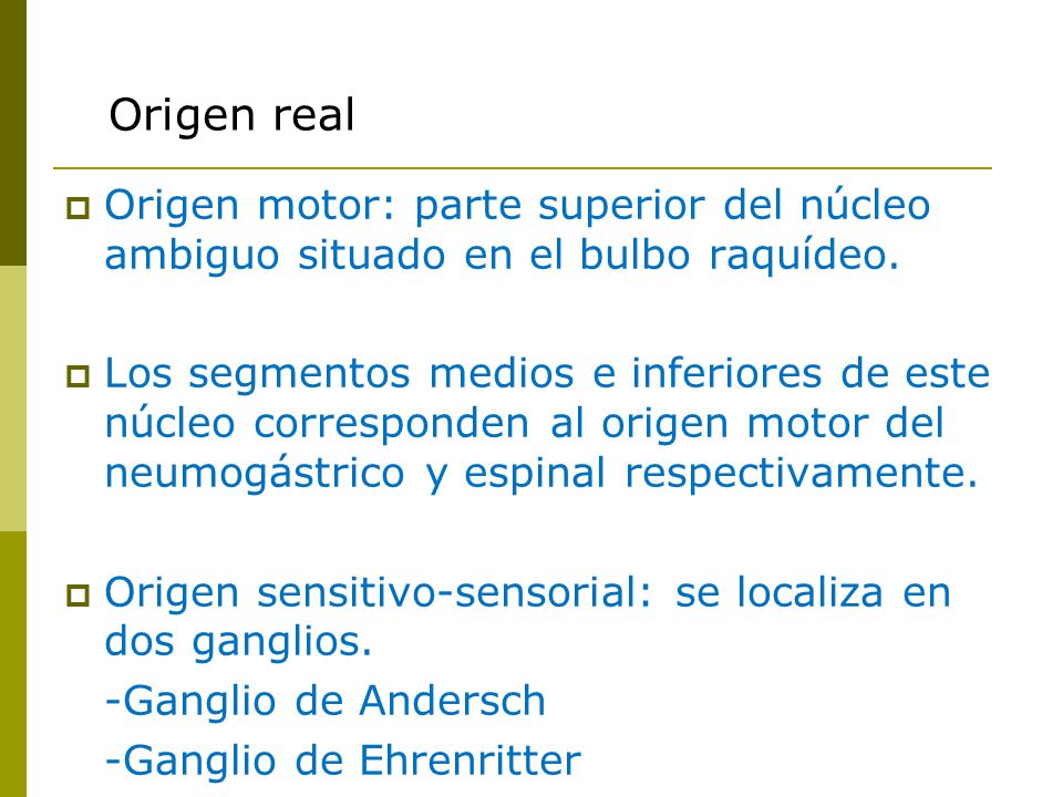 Origen real Origen motor: parte superior del núcleo ambiguo situado en el bulbo raquídeo.