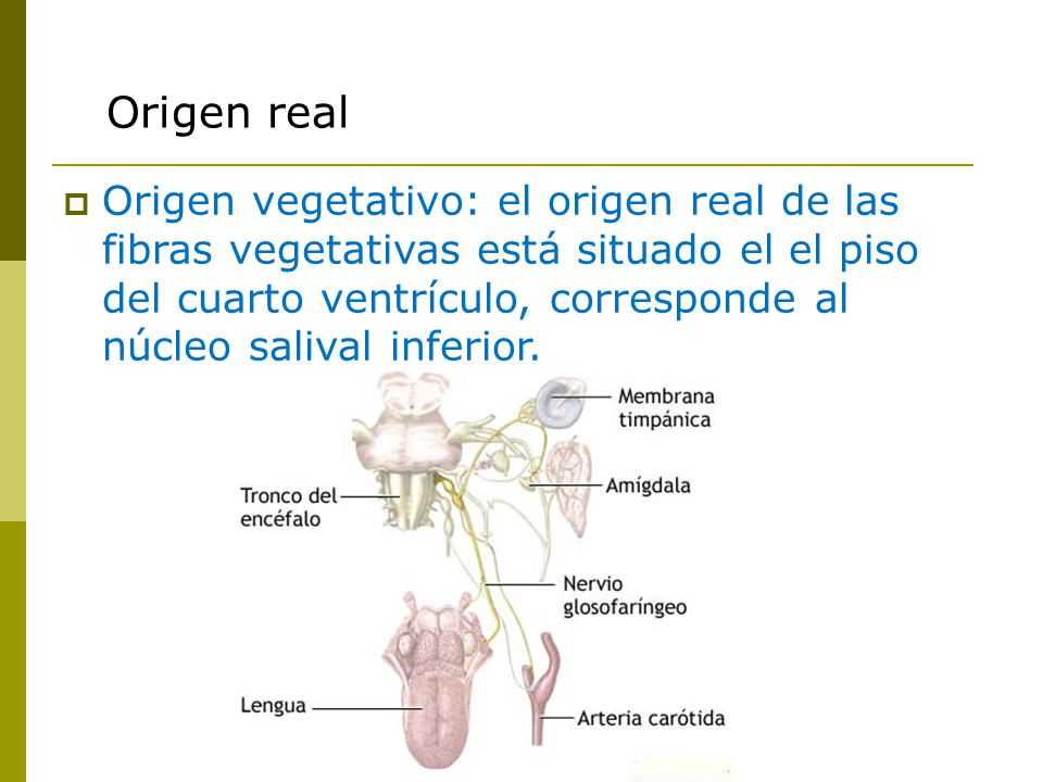Origen real