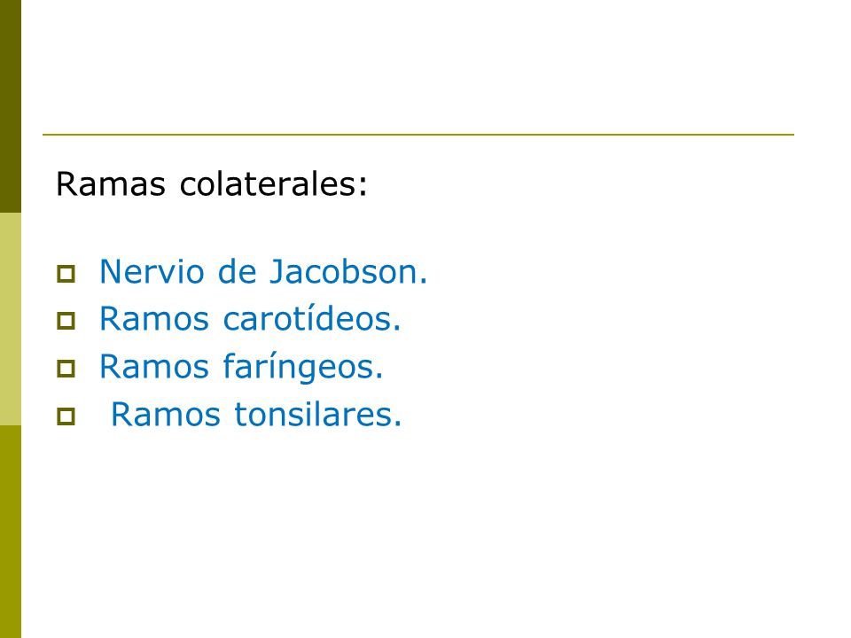 Ramas colaterales: Nervio de Jacobson. Ramos carotídeos. Ramos faríngeos. Ramos tonsilares.