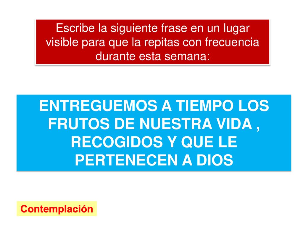 Escribe la siguiente frase en un lugar visible para que la repitas con frecuencia durante esta semana: