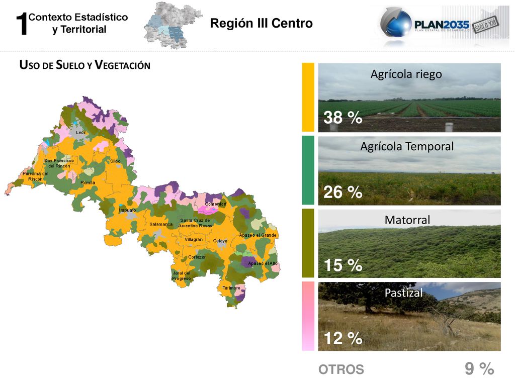 1 38 % 26 % 15 % 12 % 9 % Región III Centro Agrícola riego