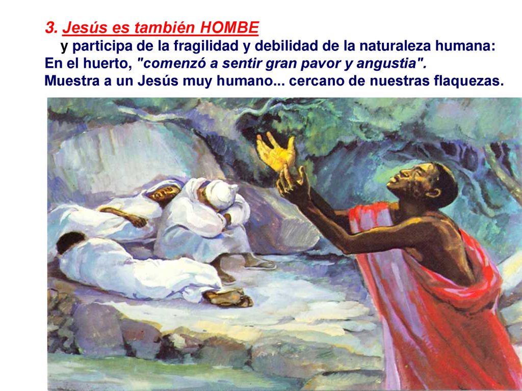 3. Jesús es también HOMBE y participa de la fragilidad y debilidad de la naturaleza humana: En el huerto, comenzó a sentir gran pavor y angustia .
