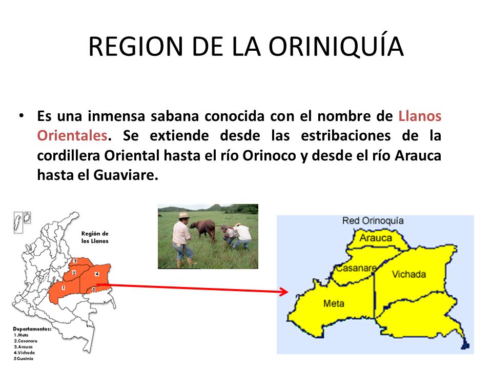 REGION DE LA ORINIQUÍA