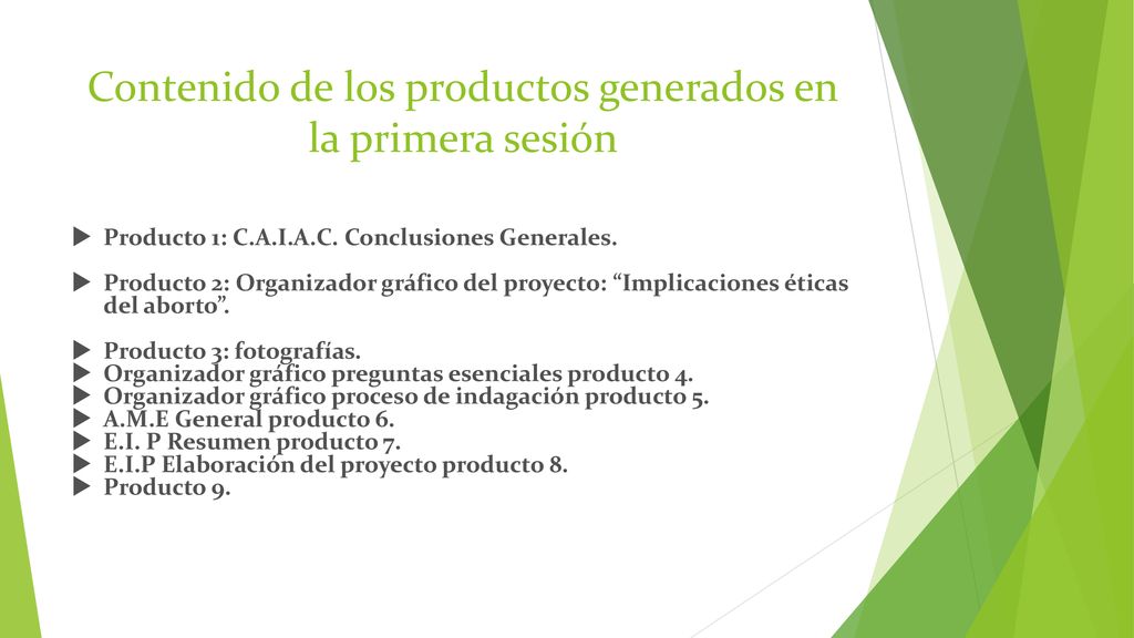 Contenido de los productos generados en la primera sesión