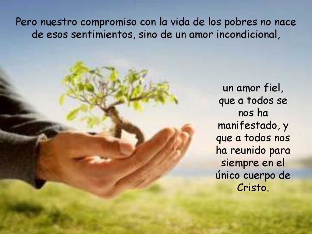 Pero nuestro compromiso con la vida de los pobres no nace de esos sentimientos, sino de un amor incondicional,