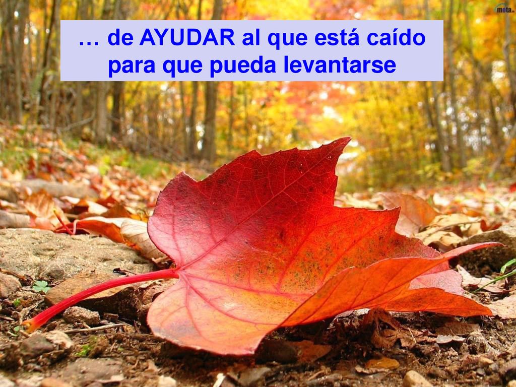 … de AYUDAR al que está caído para que pueda levantarse
