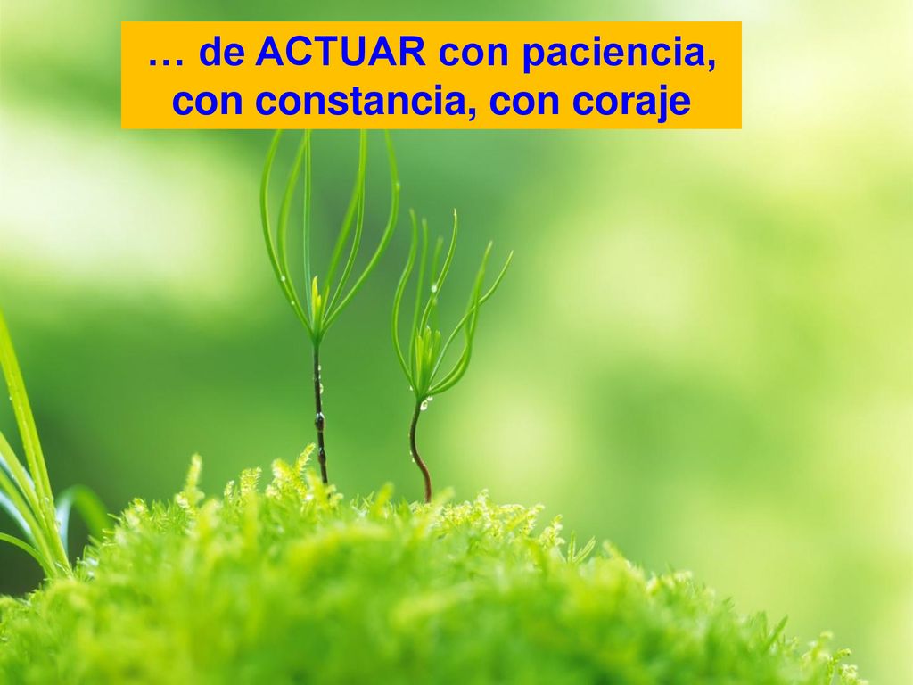… de ACTUAR con paciencia, con constancia, con coraje