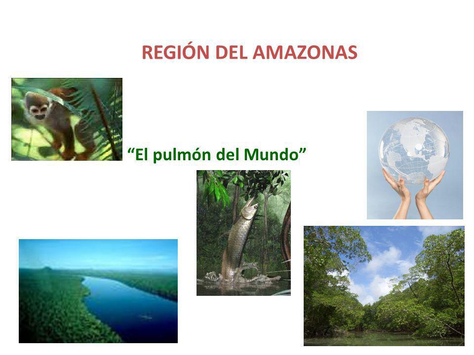 REGIÓN DEL AMAZONAS El pulmón del Mundo