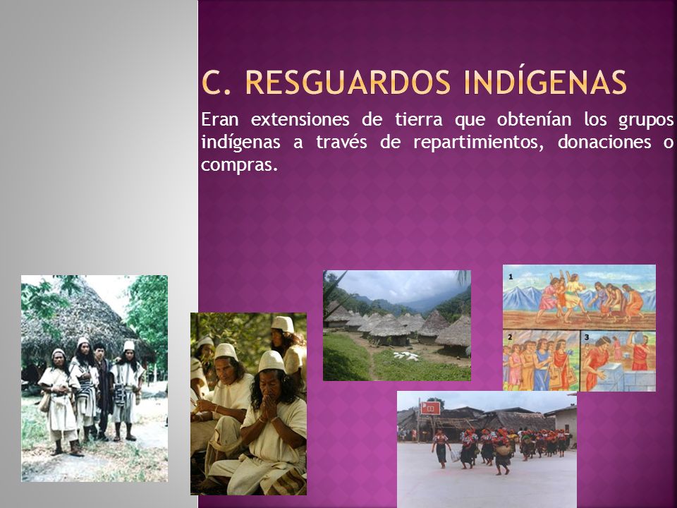 c. Resguardos Indígenas