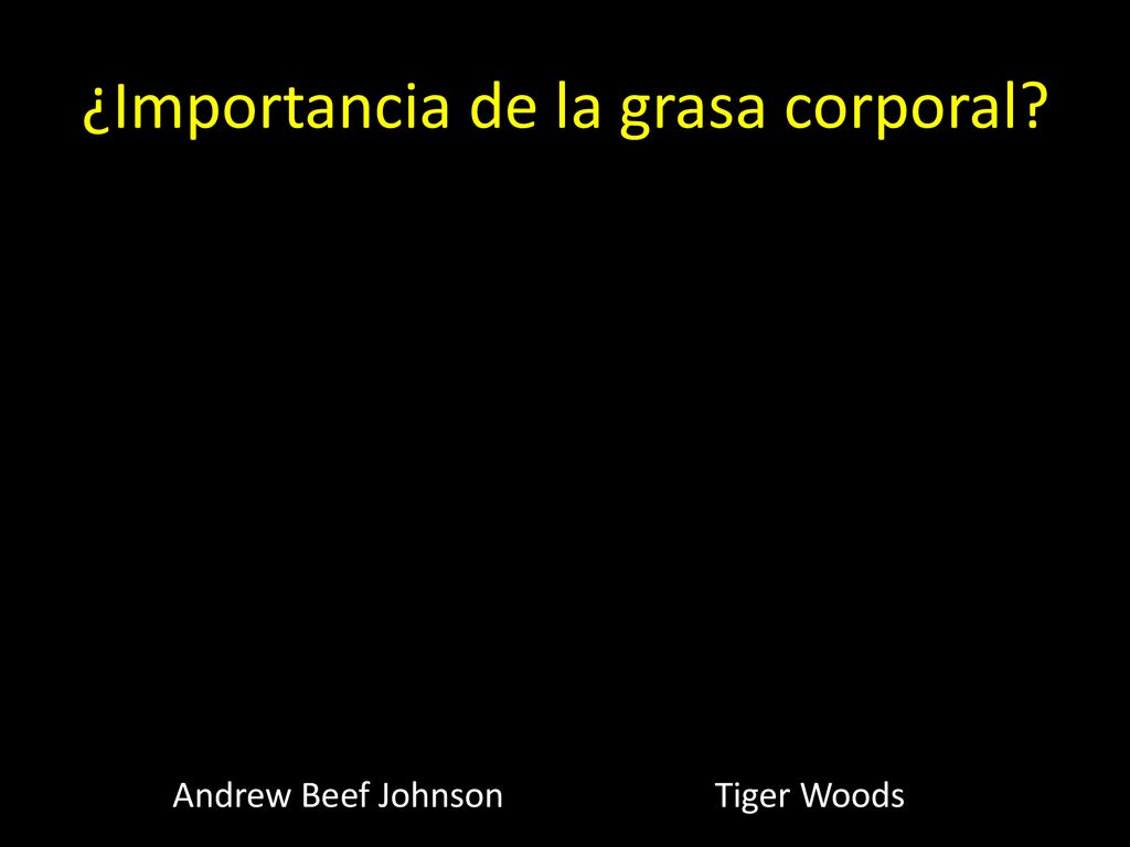 ¿Importancia de la grasa corporal