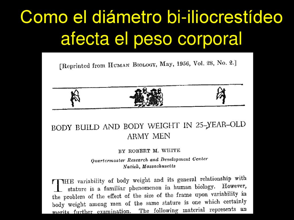 Como el diámetro bi-iliocrestídeo afecta el peso corporal