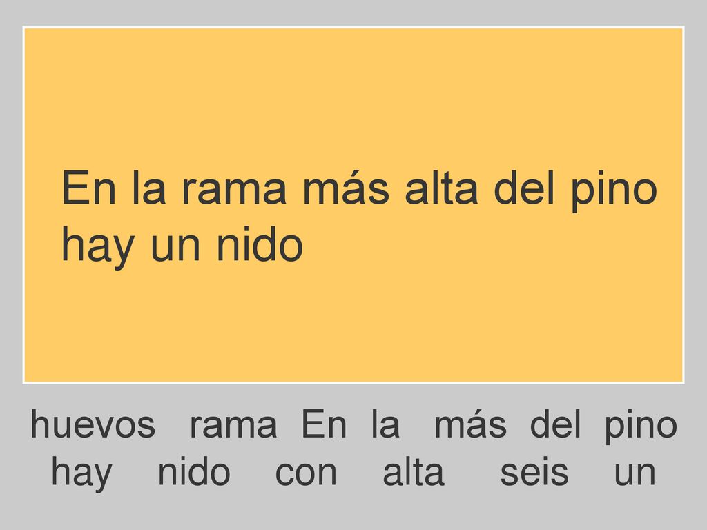 En la rama más alta del pino hay un nido