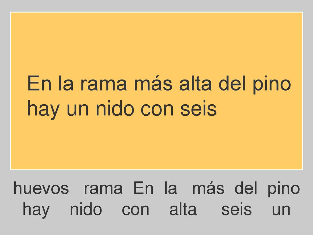 En la rama más alta del pino hay un nido con seis
