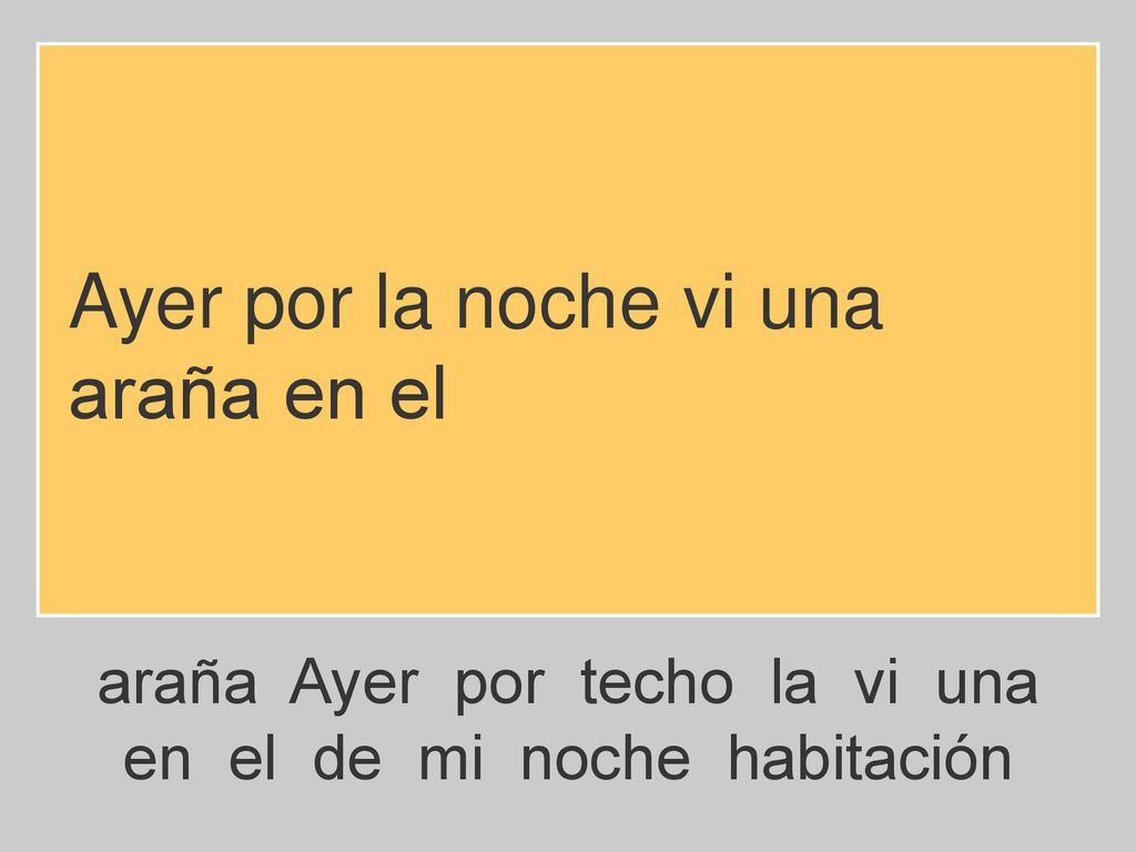 Ayer por la noche vi una araña en el